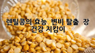 렌틸콩의 효능 🌱 변비 탈출 & 장 건강 지킴이 ✨